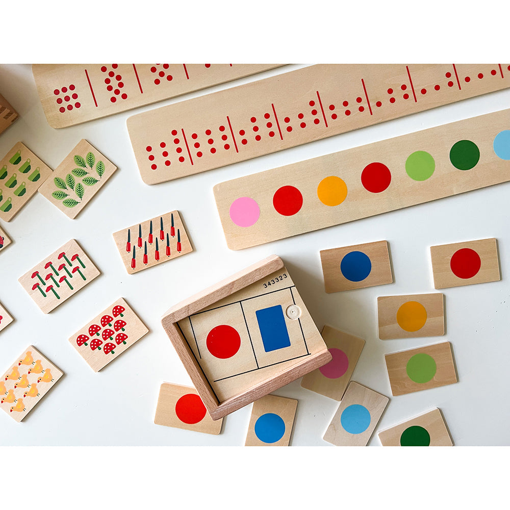Wooden Sorting Box Combo for Color & Counting