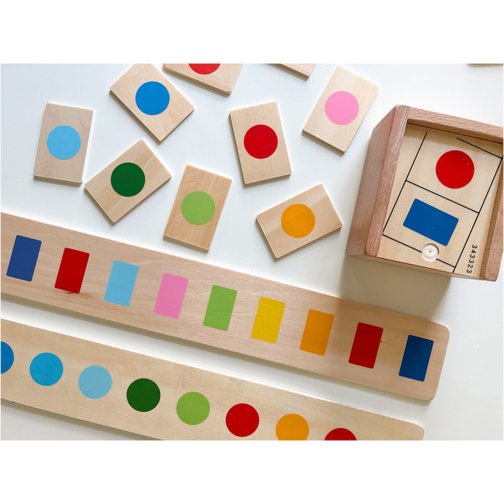 Sorting Box Combo for Color & Counting