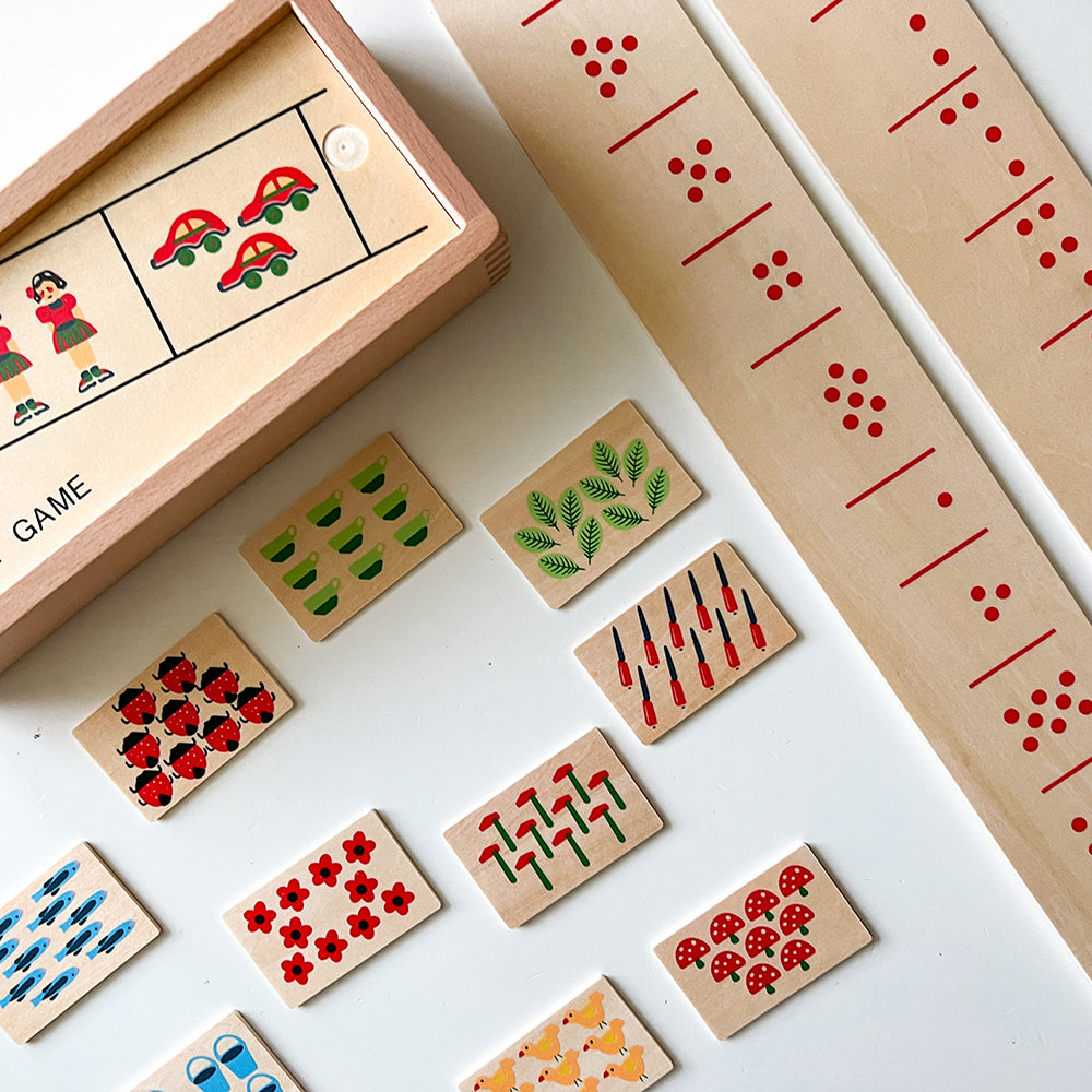 Wooden Sorting Box Combo for Color & Counting