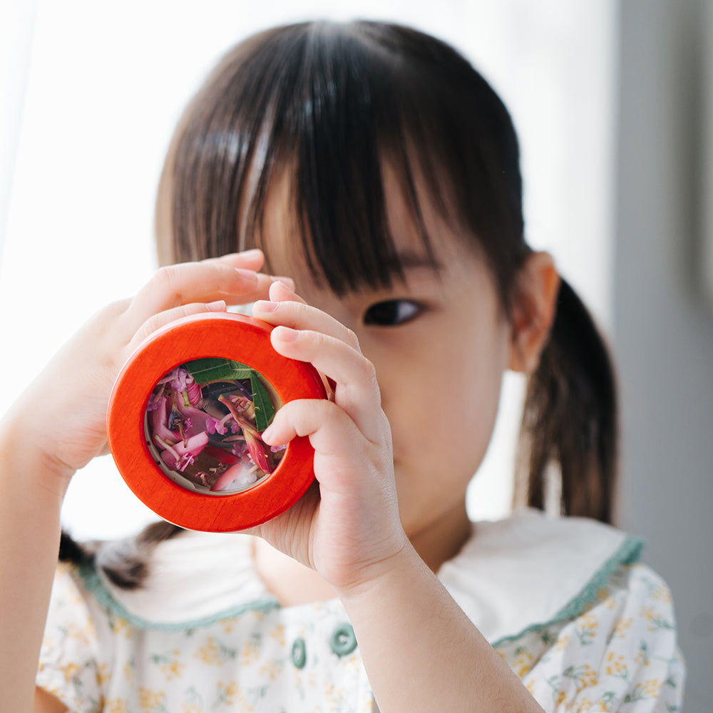 Looking Thru Eco-Friendly Wooden Kaleidoscope by PlanToys
