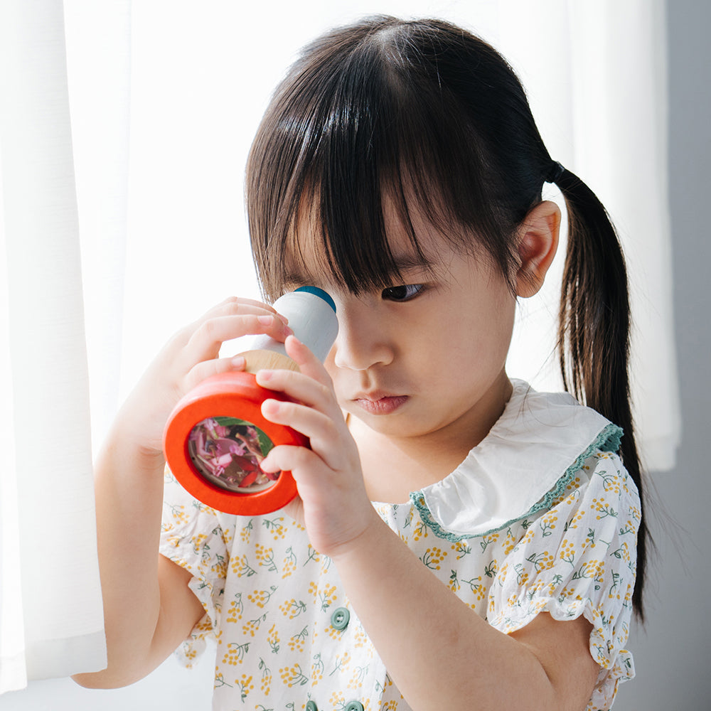 Looking Thru Eco-Friendly Wooden Kaleidoscope by PlanToys