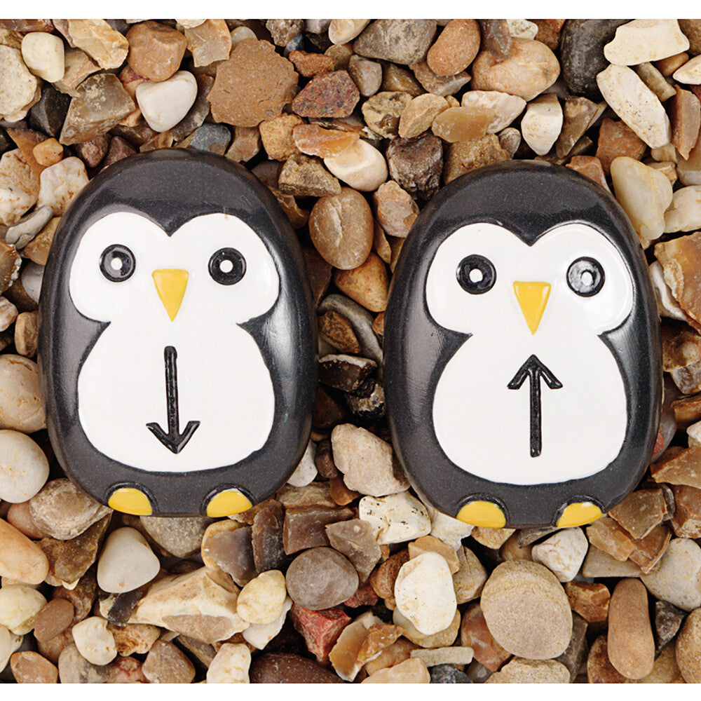 Pre-Coding Penguin Stones