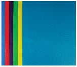 2 Pocket Economy Portfolio - 1 Folder, Assorted Colors