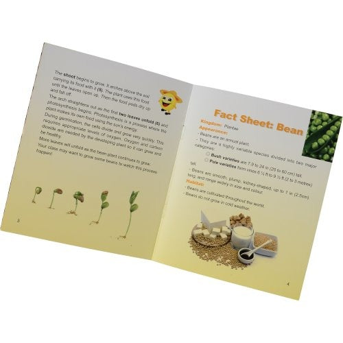 Detail Information booklet for Encased Bean Germination Stages 6-Piece Set
