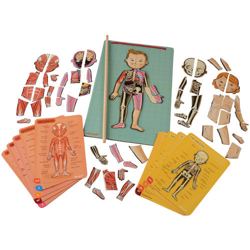 Healthy Bodies Medical Discovery Center