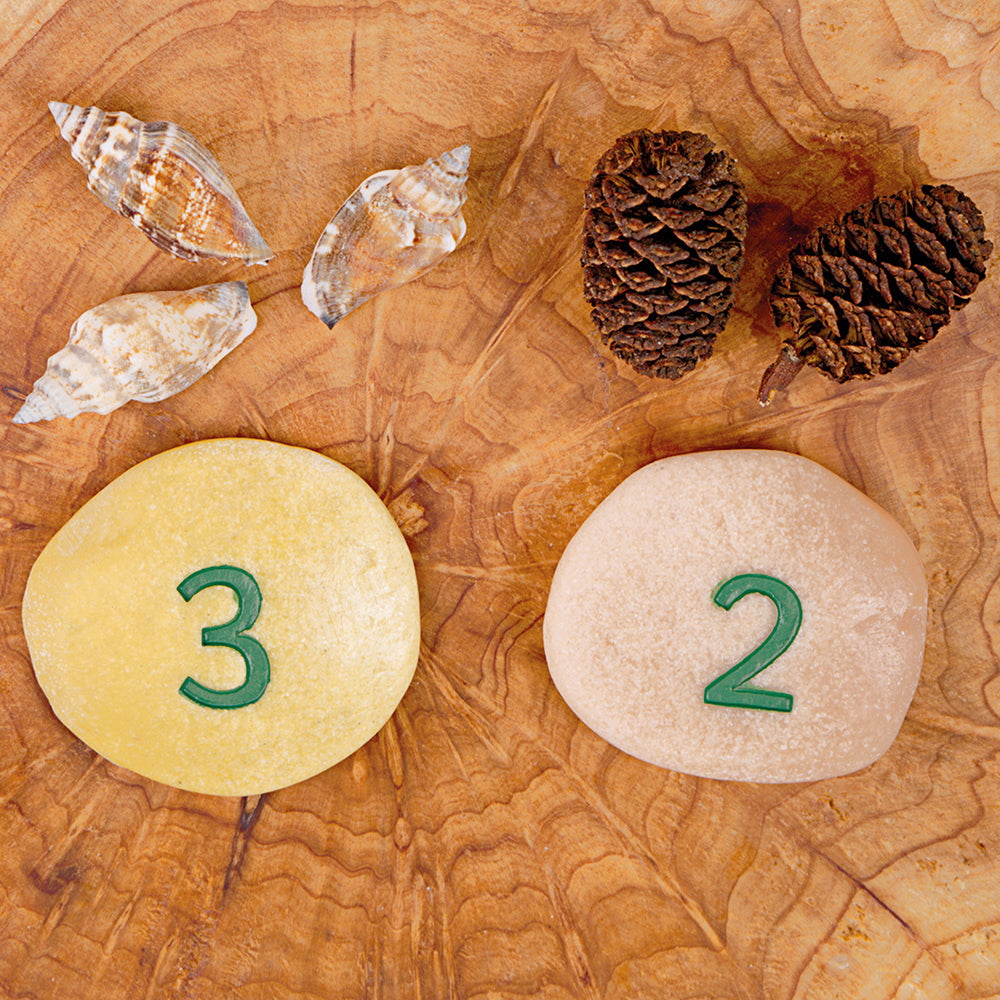 Using Numbers in Outdoor Classroom