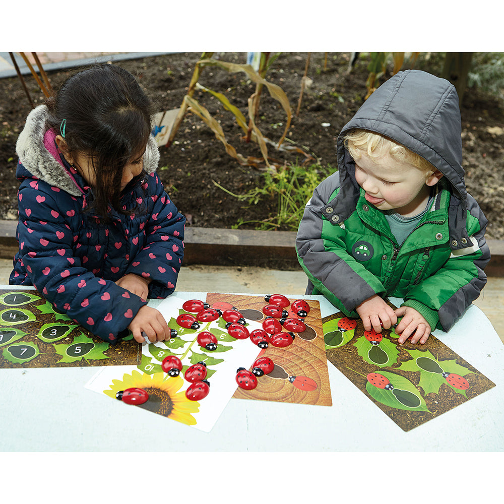 Counting with Ladybugs