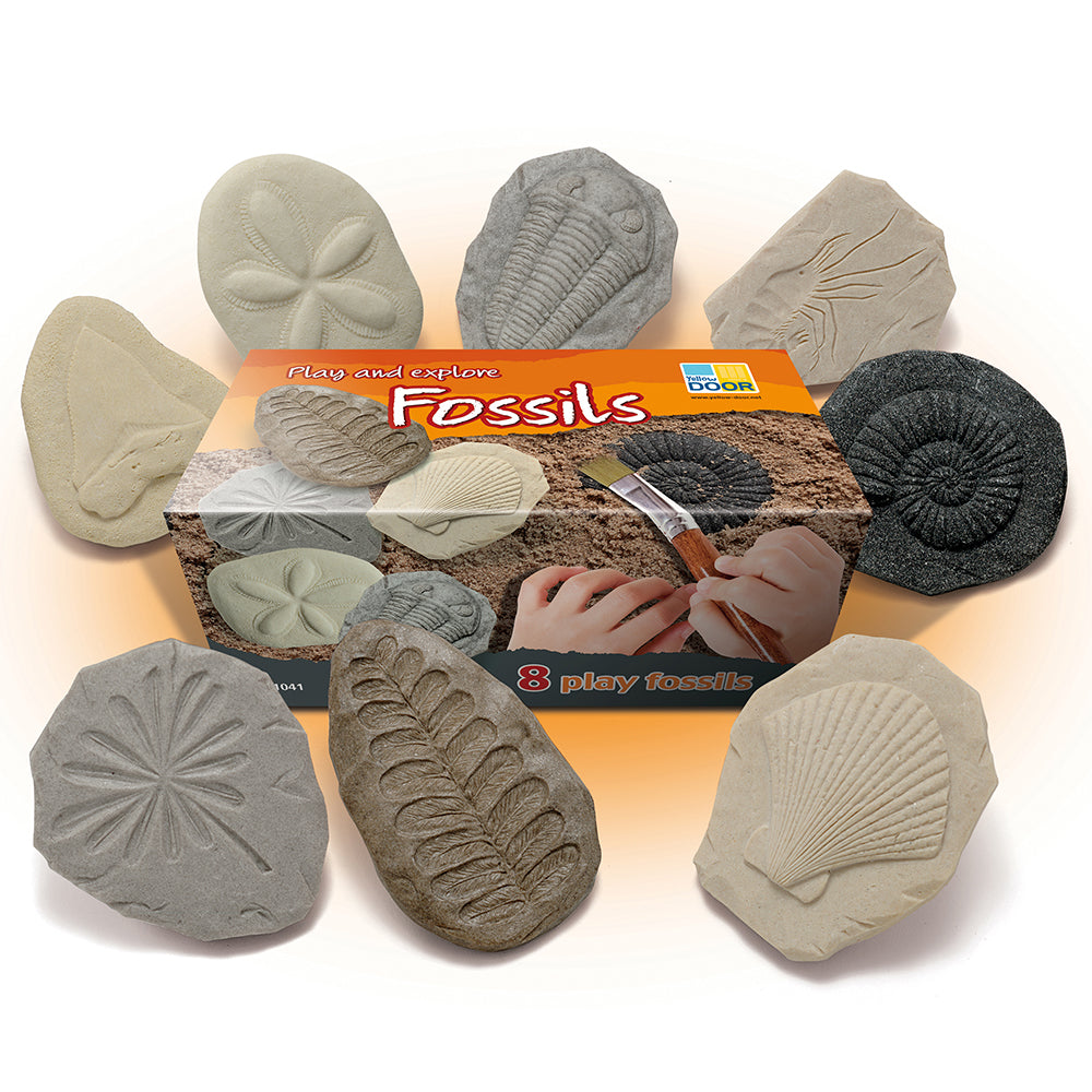 Play and Explore Fossils Set