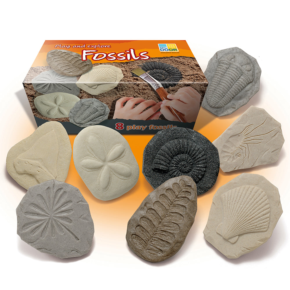 Yellow Door® Let's Investigate Fossils Discovery Kit