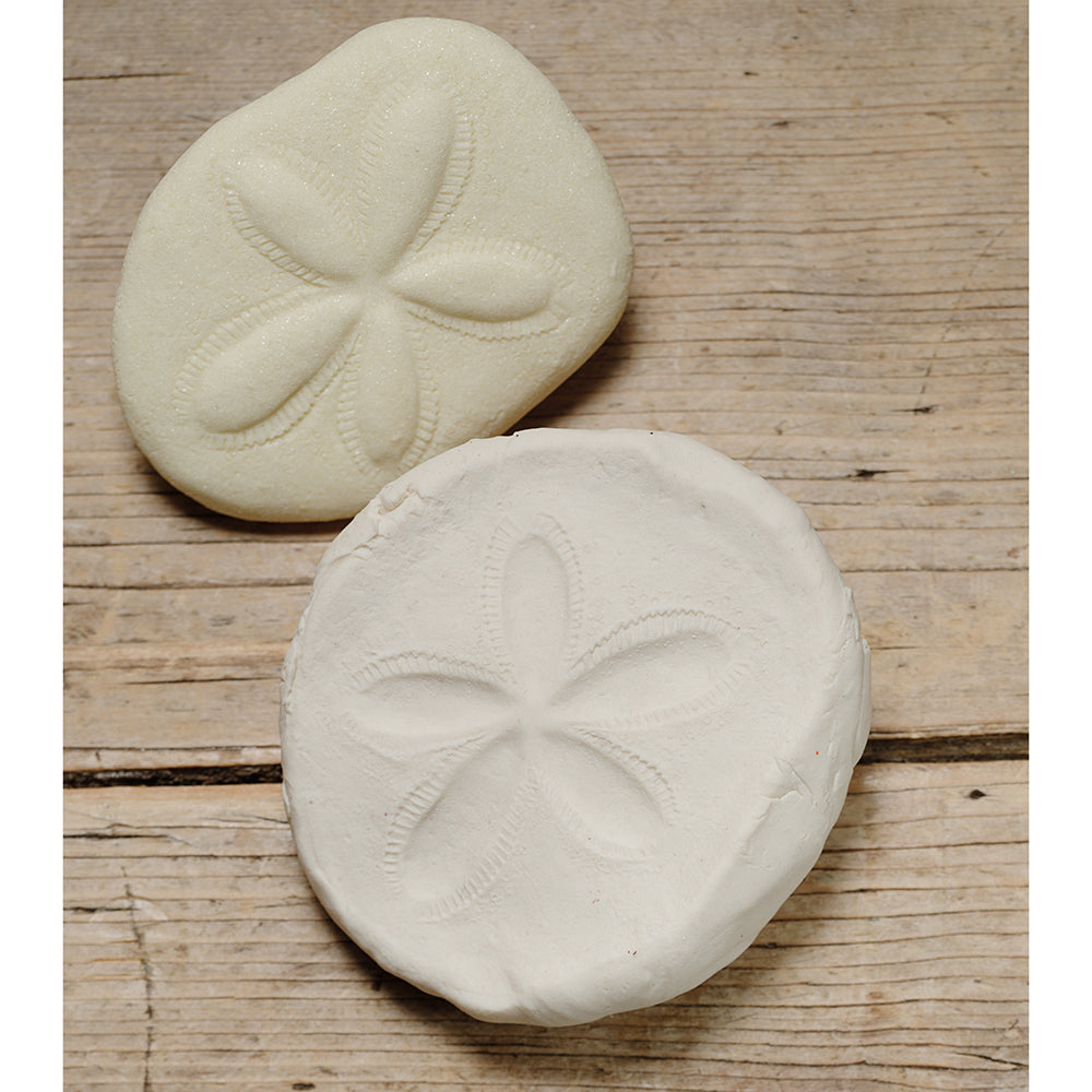 Clay Impressions with Fossil Replicates