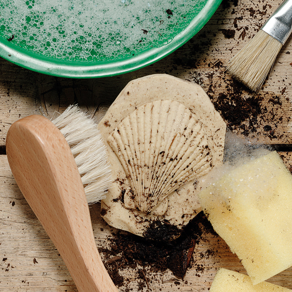 Easy To Clean Fossil Stones