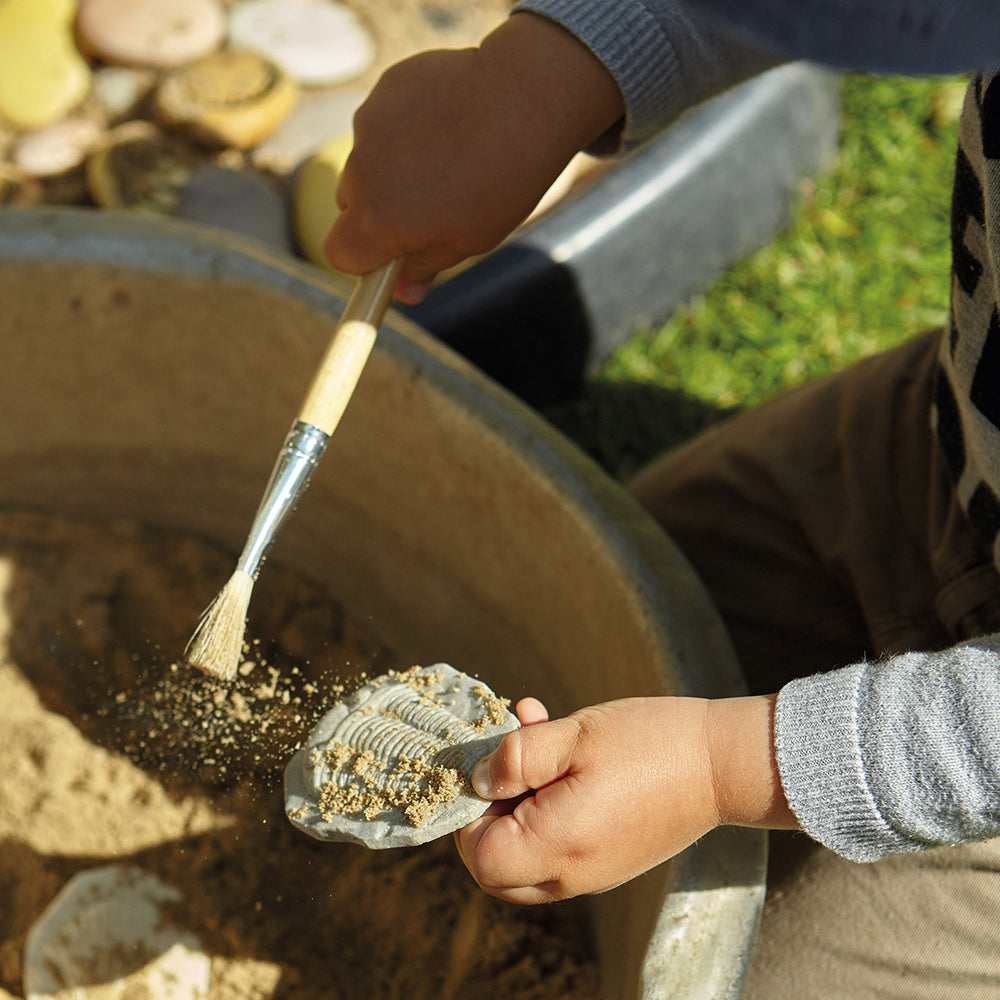 Digging for Fossils in Outdoor Classroom