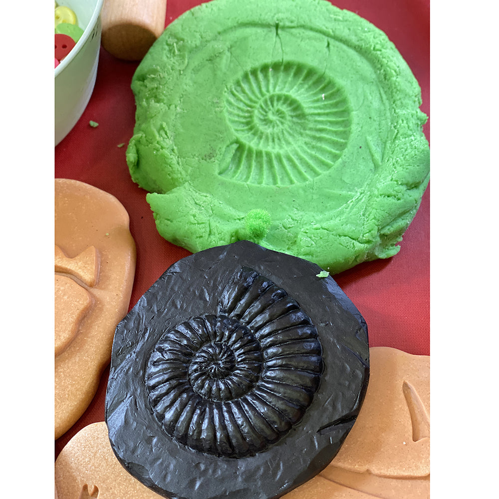 Modeling Dough Fossil Impressions