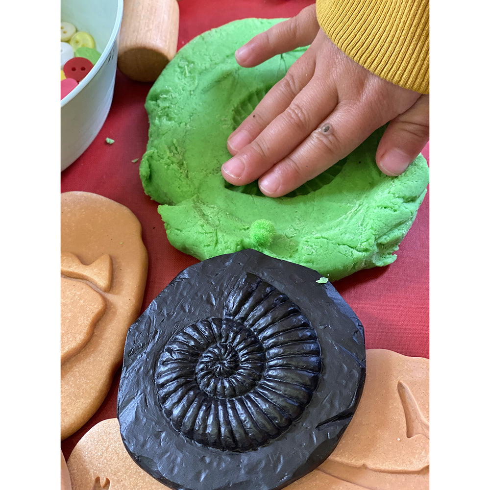 Sensory Play with Fossil Stones
