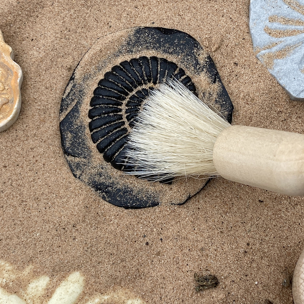 Discovering Buried Fossils