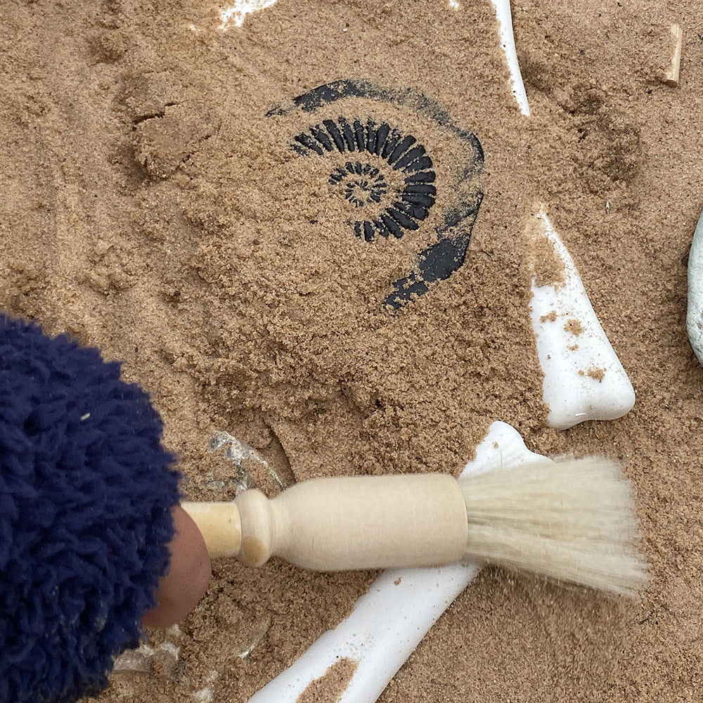 Fossil Discovery