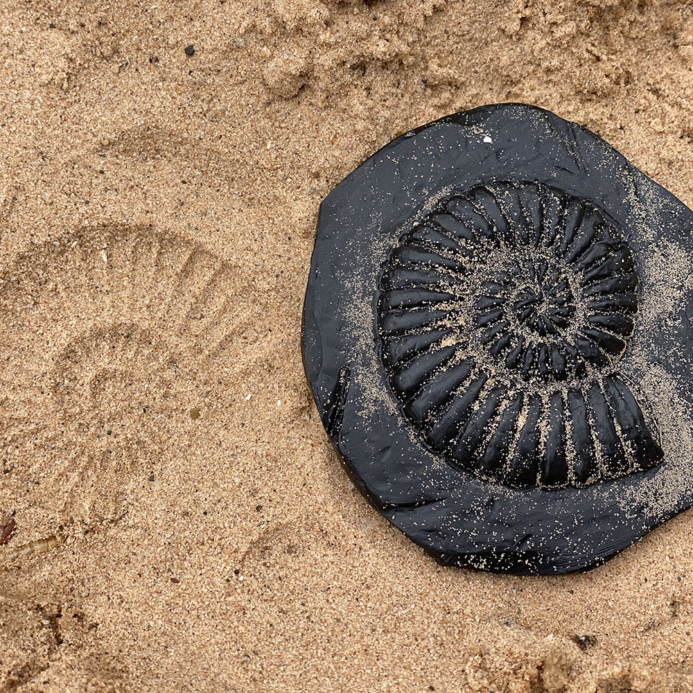 Fossil Sand Impression