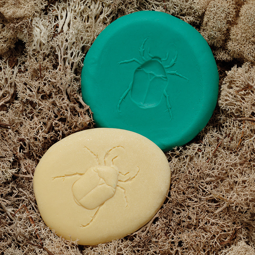 Beetle Bug Clay Impression