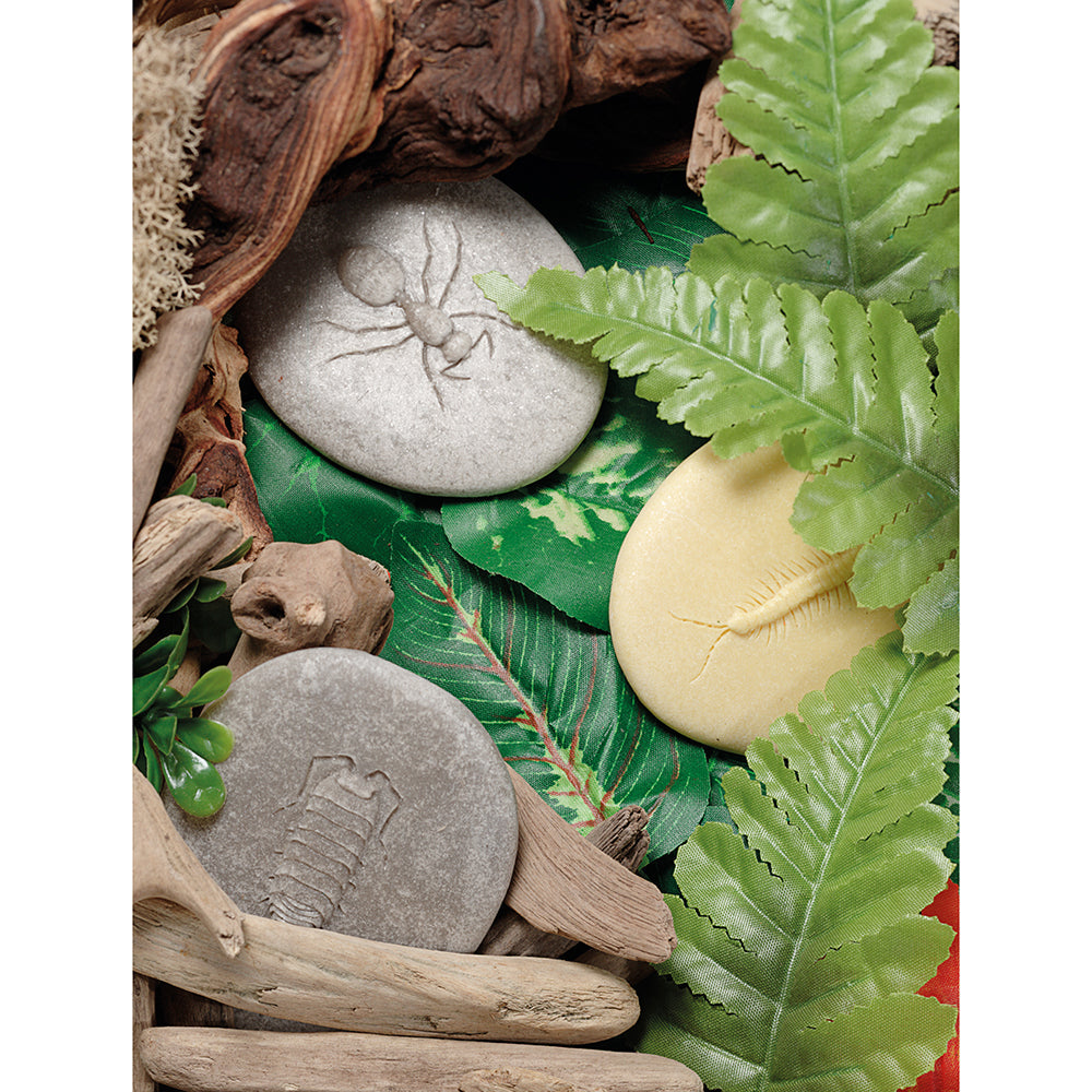 Bug Stones in Nature
