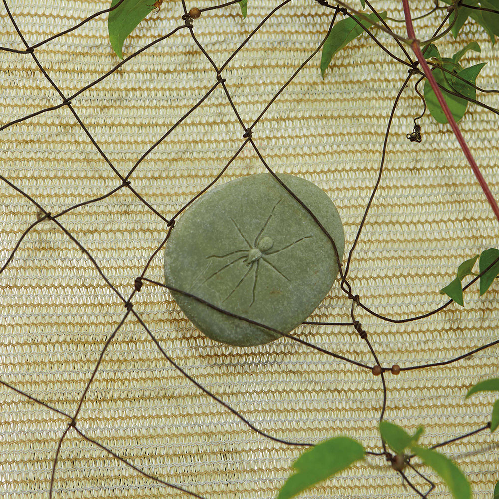 Spider Sensory Stone
