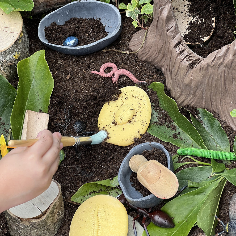Digging for Insect Sensory Stones