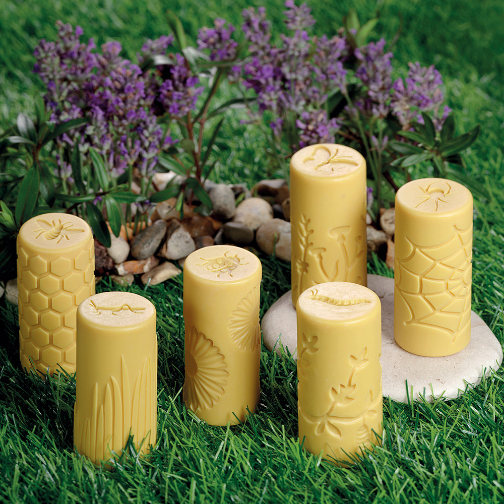 Set of 6 Garden Bug Rollers