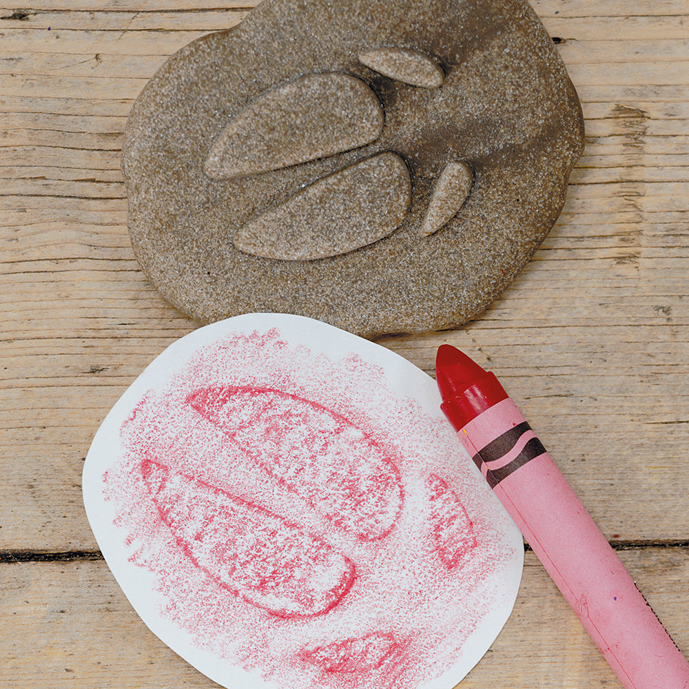 Farm Animal Footprint Crayon Impression