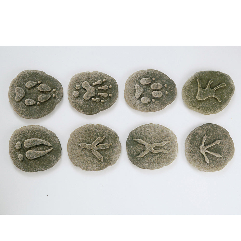 8 Piece Set of Woodland Animal Footprint Stones