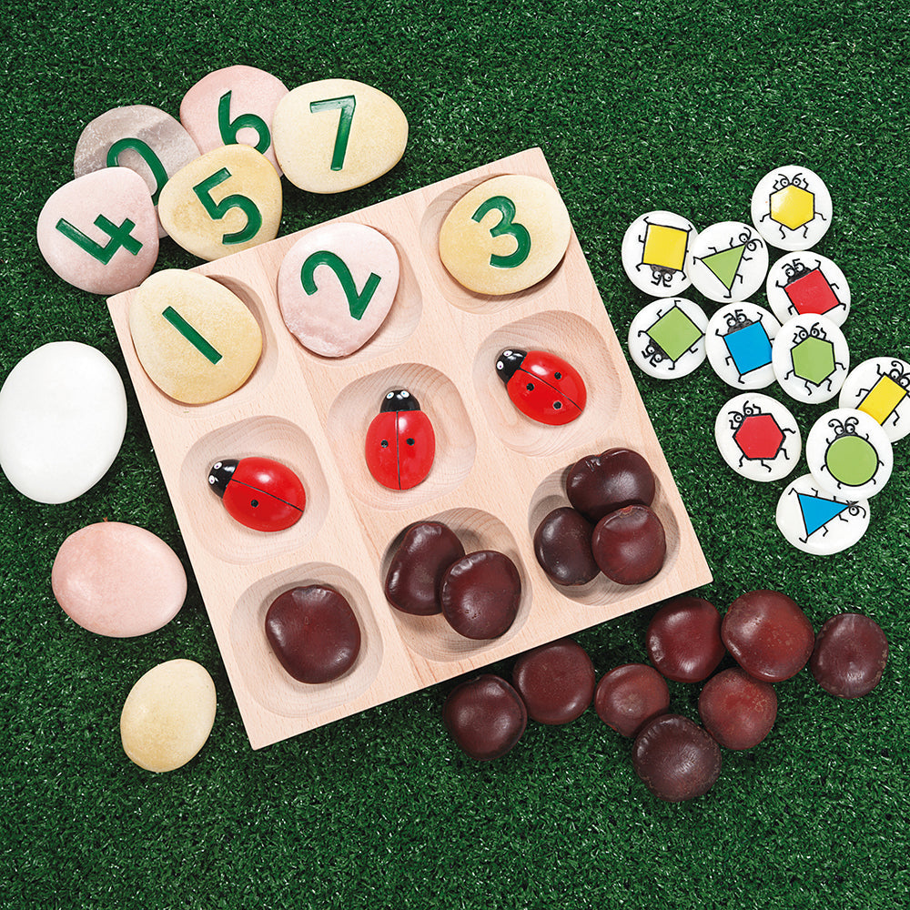 Sorting & Classifying with Natural Wooden Tray