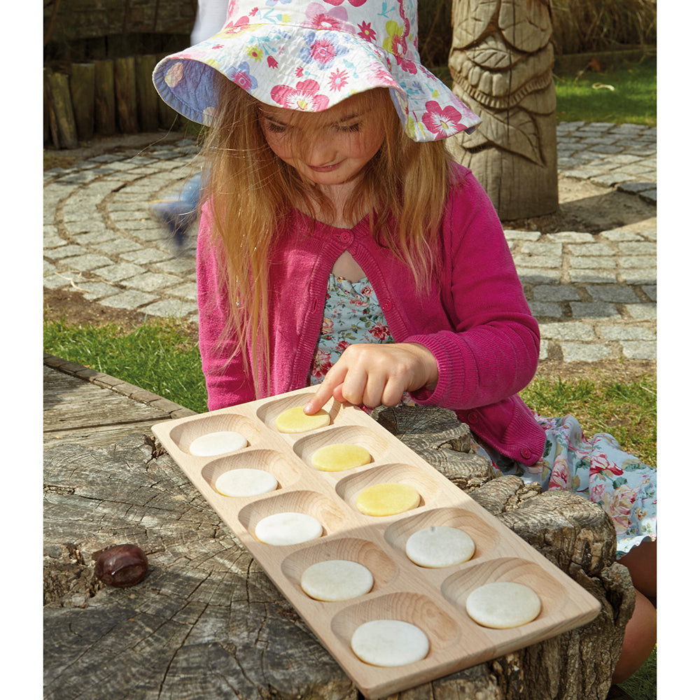10-Frame Tray