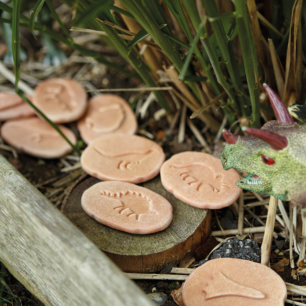 Footprint Stones in Nature