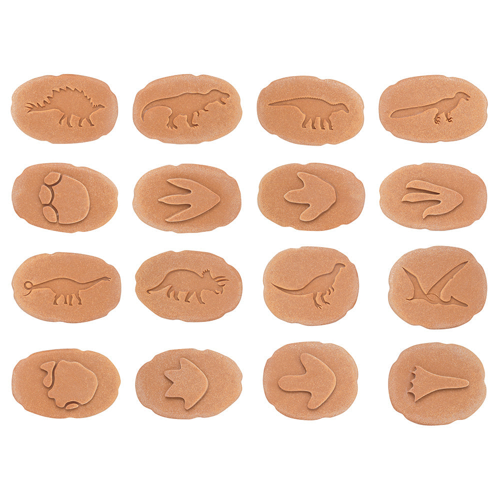 Dinosaur Footprints Double-Sided Animal Stones