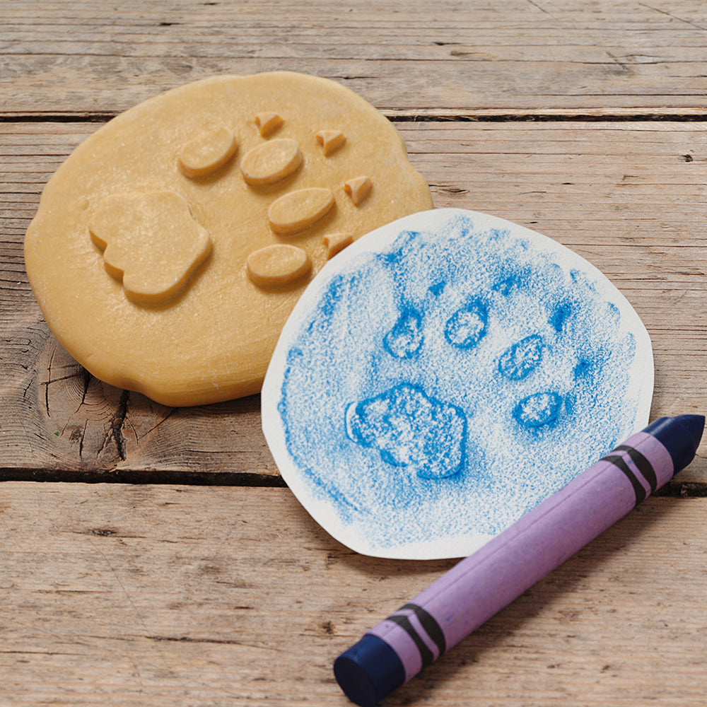 Crayon Impression f Animal Footprint