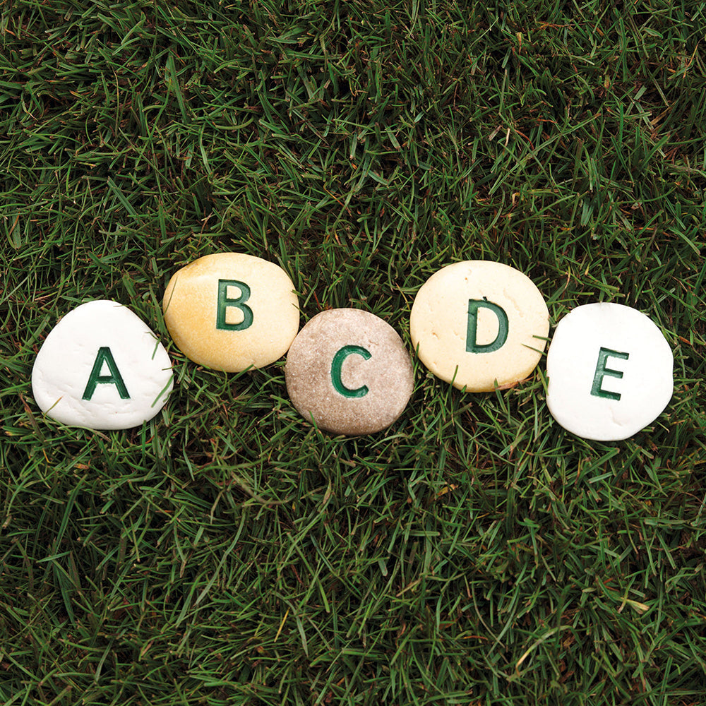 Alphabet Stones
