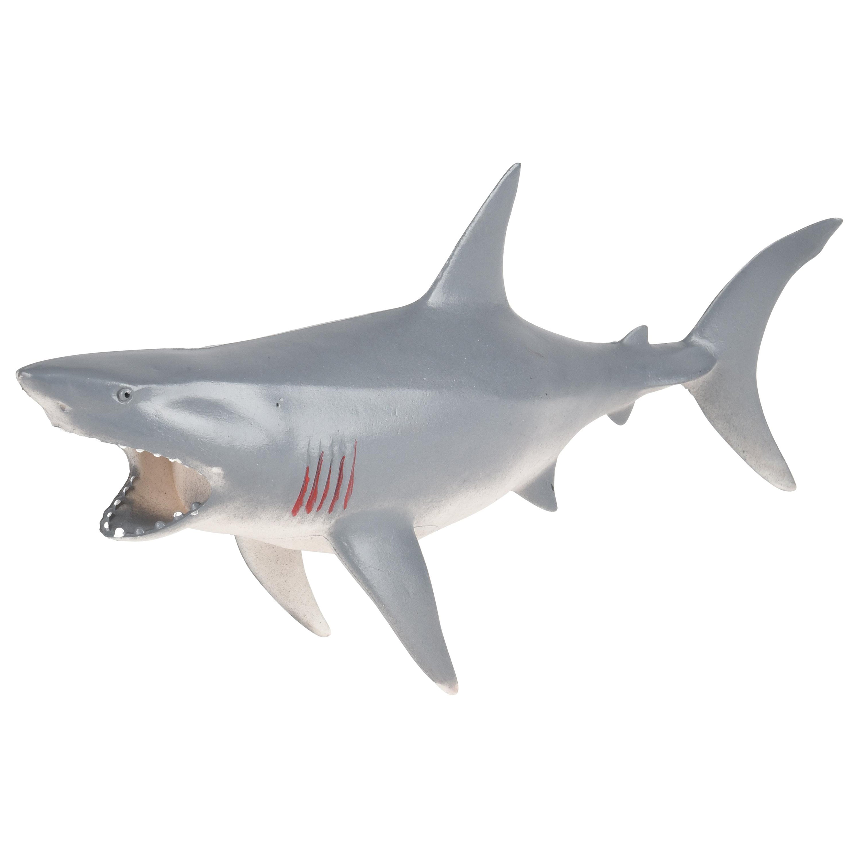 Squeaky Shark Learning Buddy