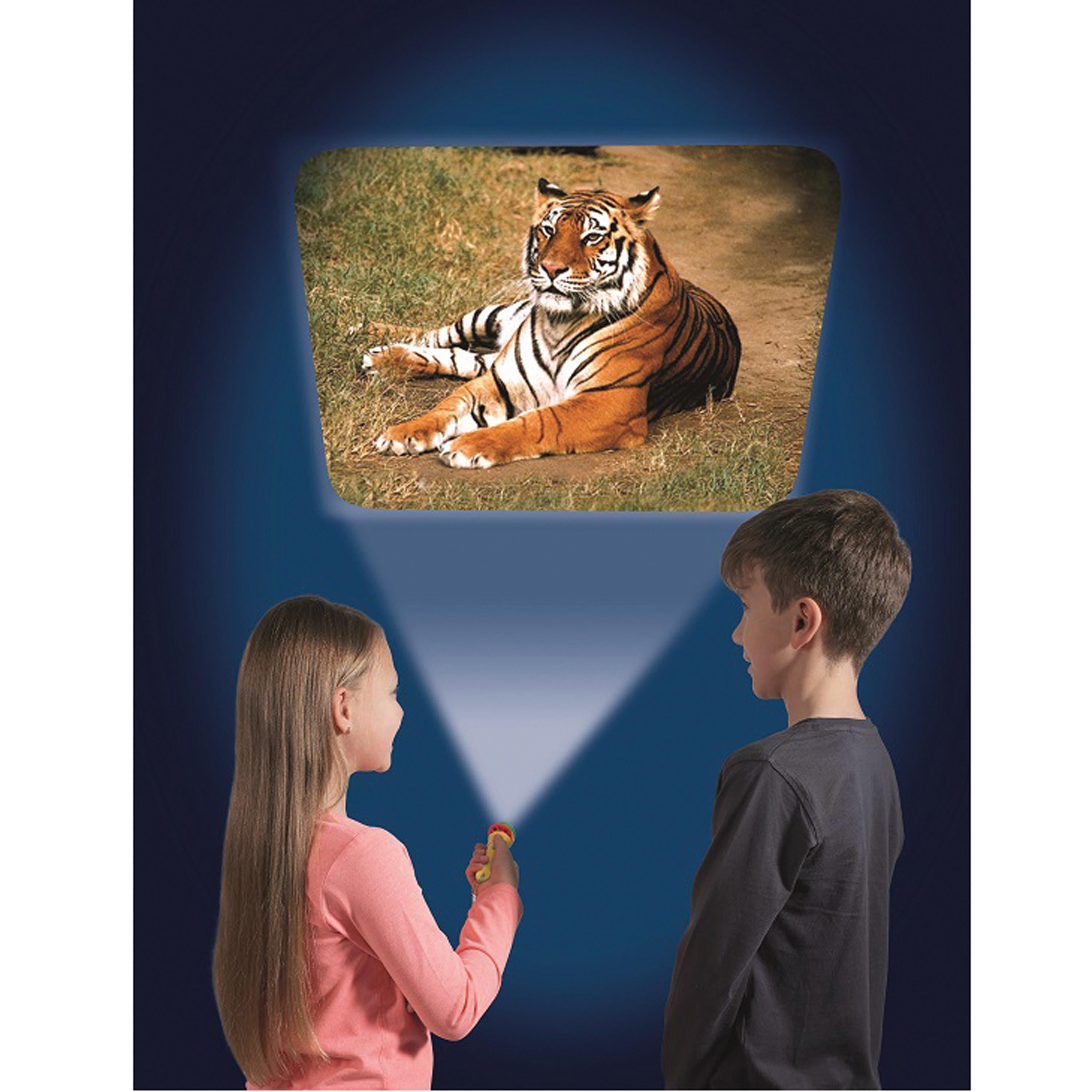 Animal Projector