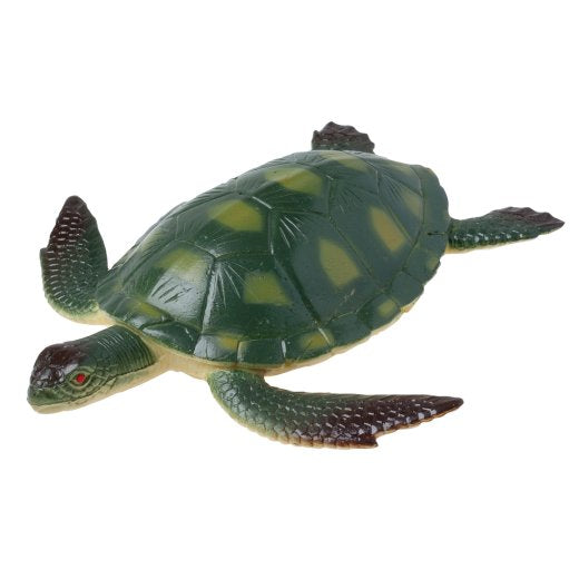 Life-Size Green Sea Turtle - Chelonia mydas