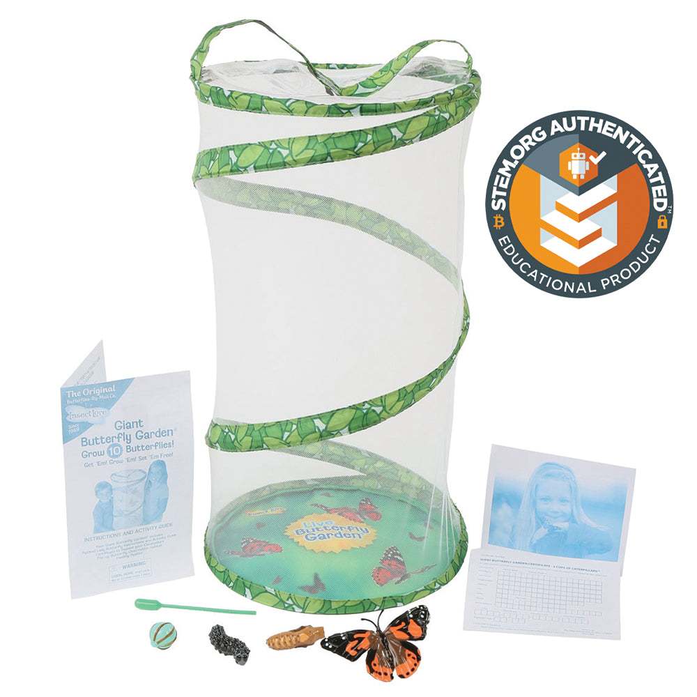 Giant Butterfly Garden® Kit - Watch Caterpillars Transform into Butterflies | In ILP-1070