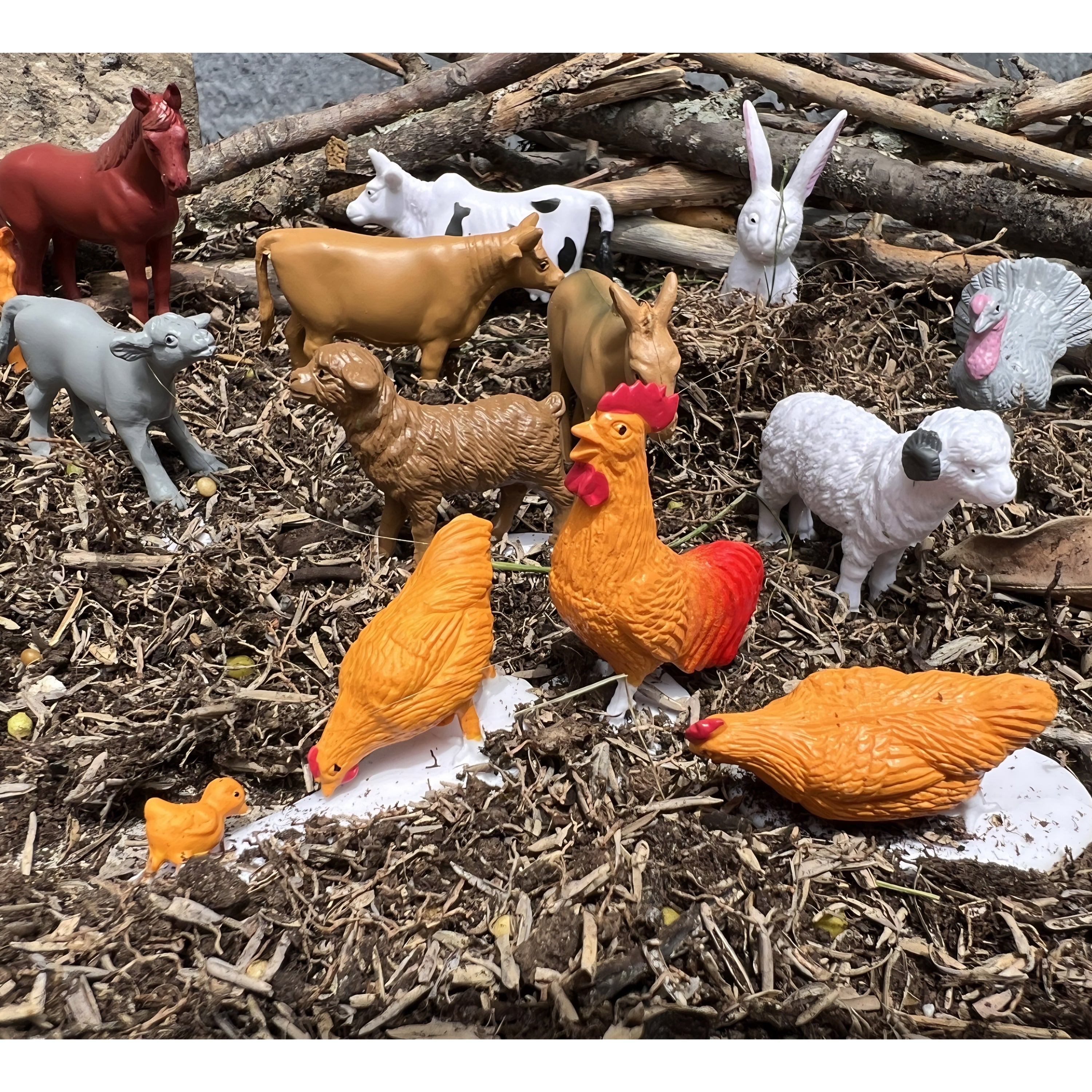 Mini Farm Animals