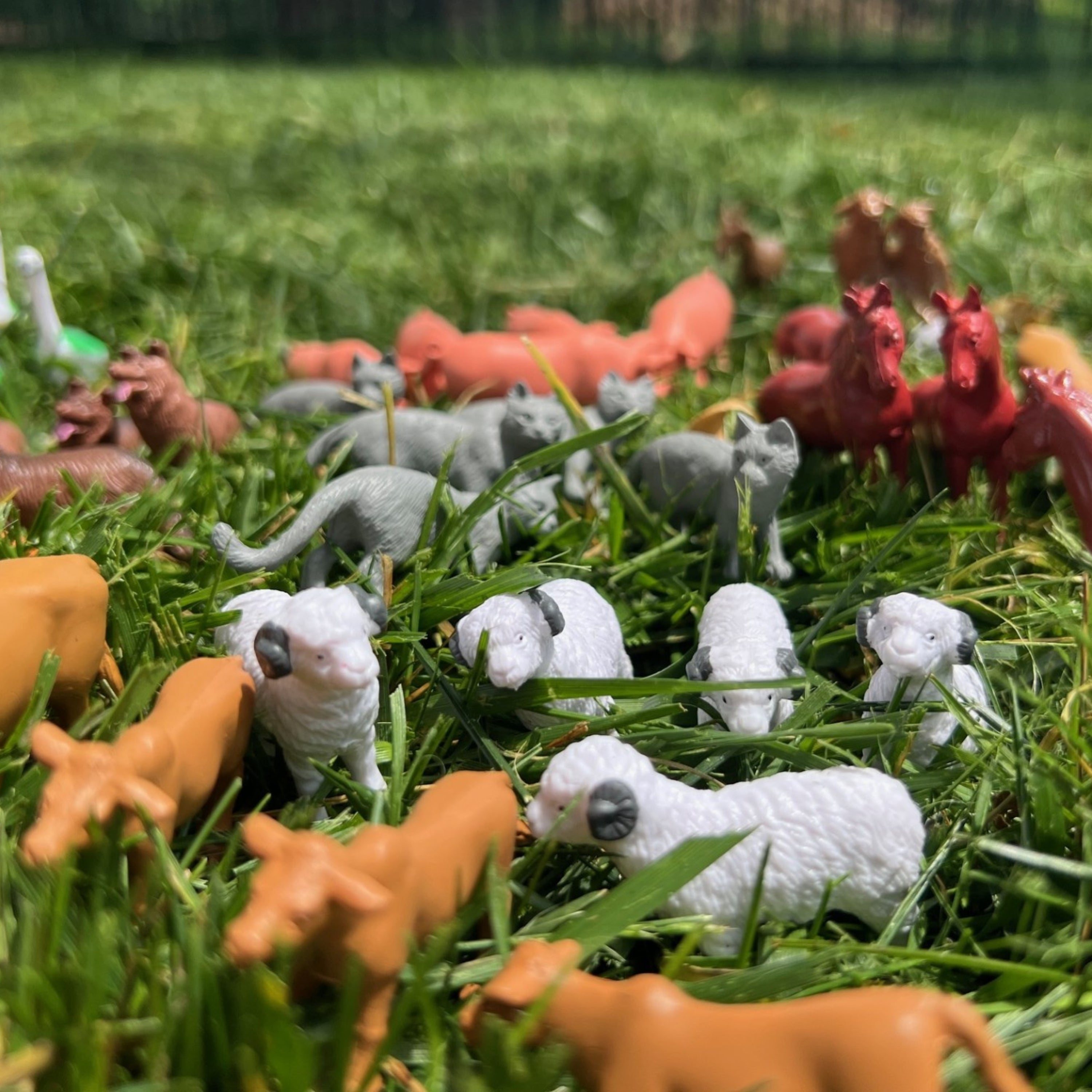 Mini Farm Animals