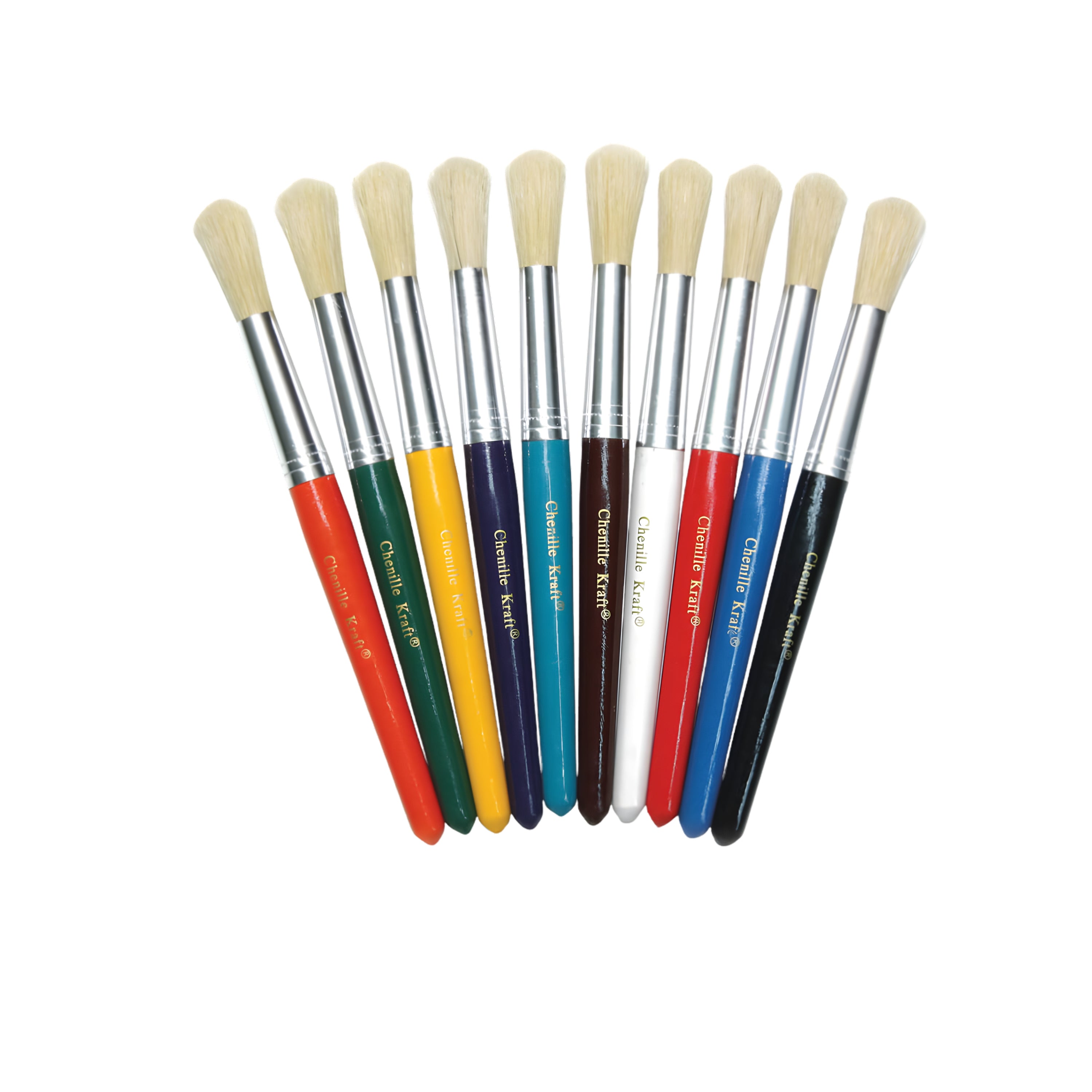 Beginner Paint Brushes – 10 Pc Set