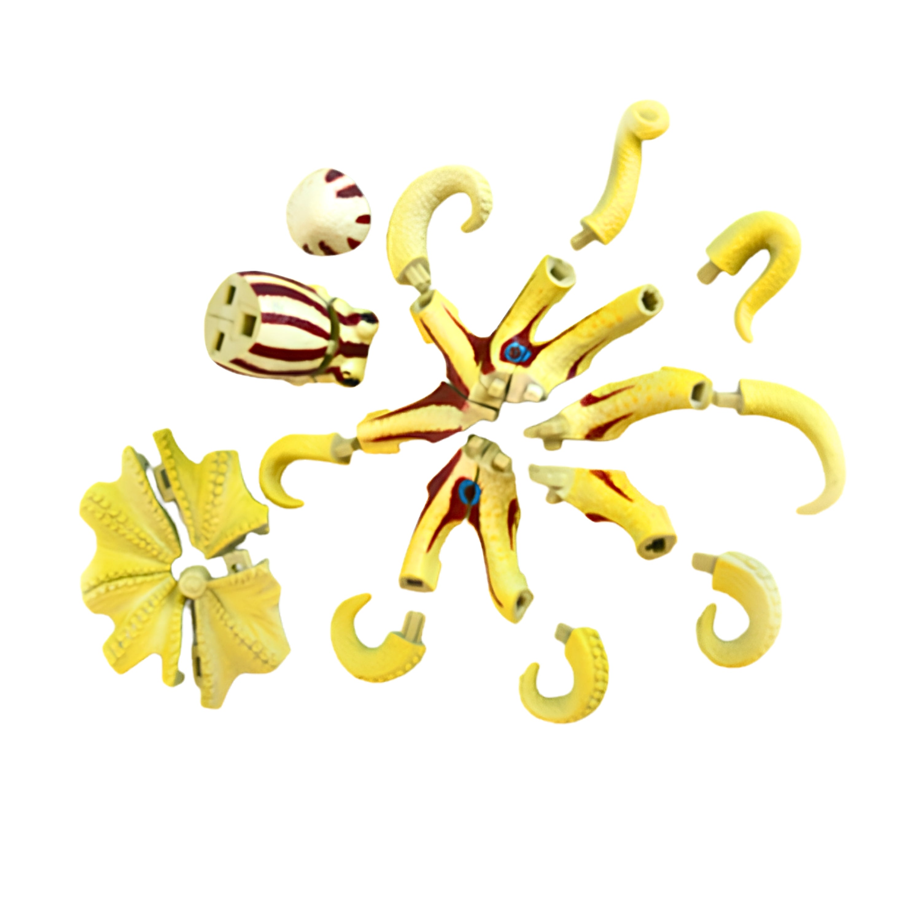 4D Puzzle - Octopus Siamensis