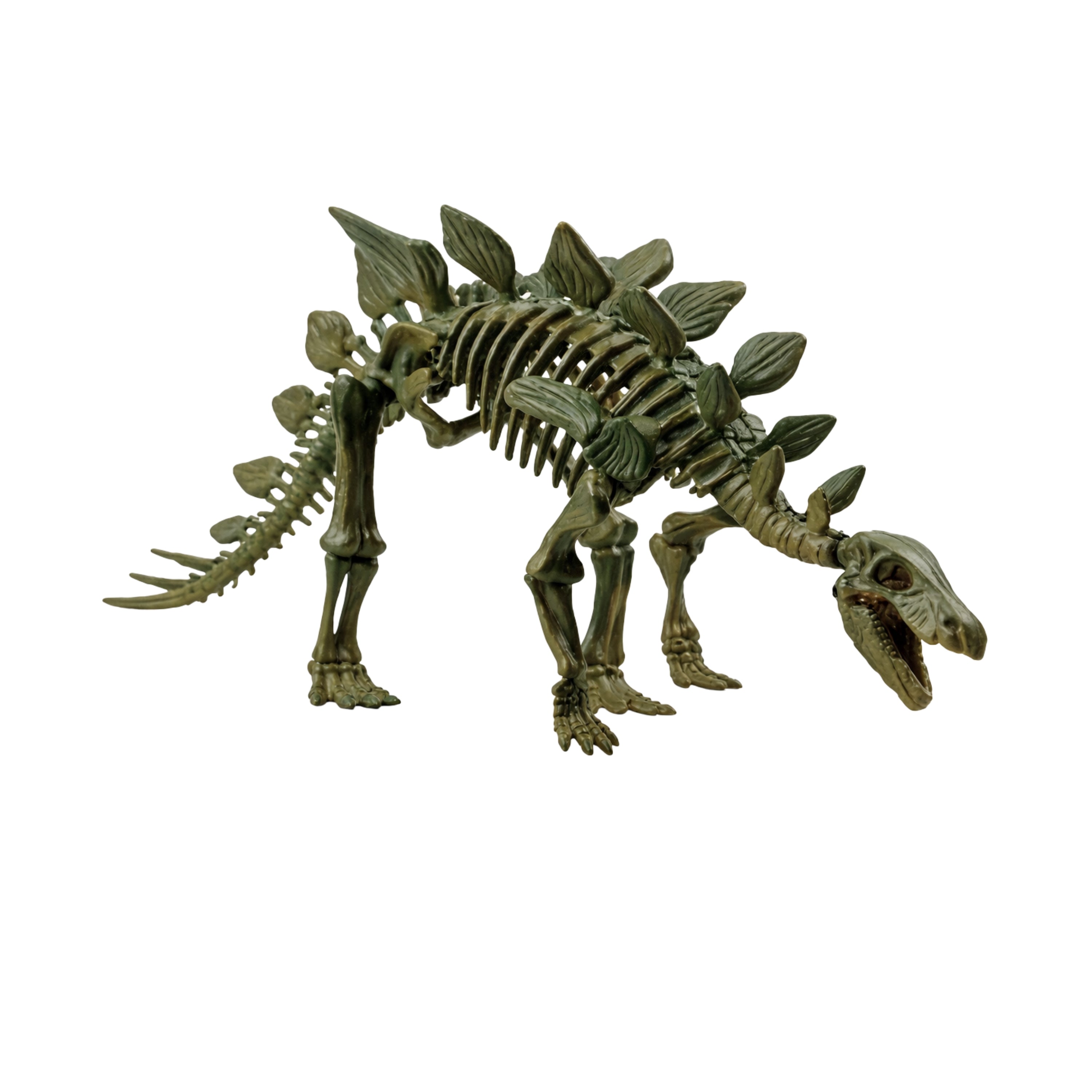Parasaurolophus Fossil Dinosaur Model