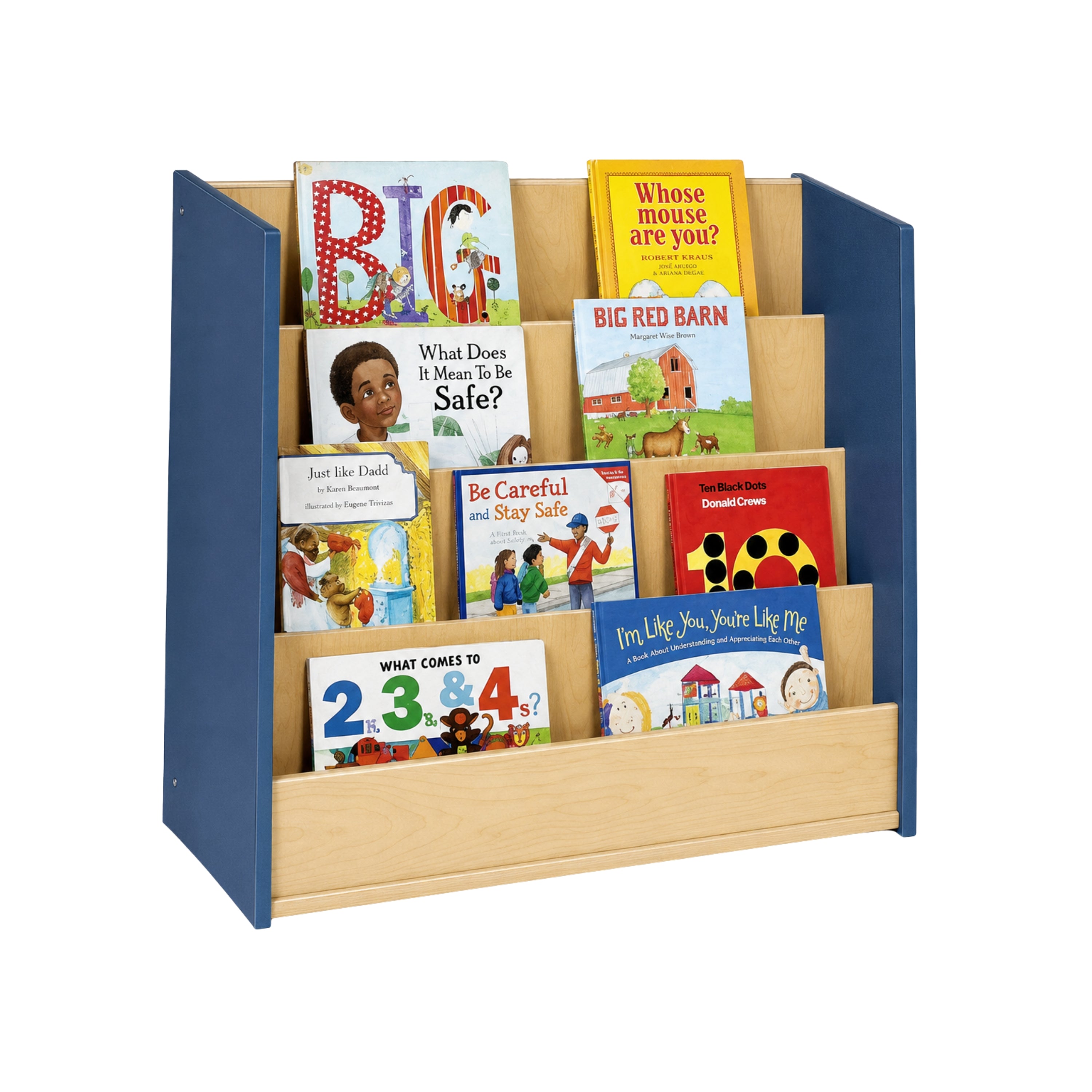 Book Display - Blueberry