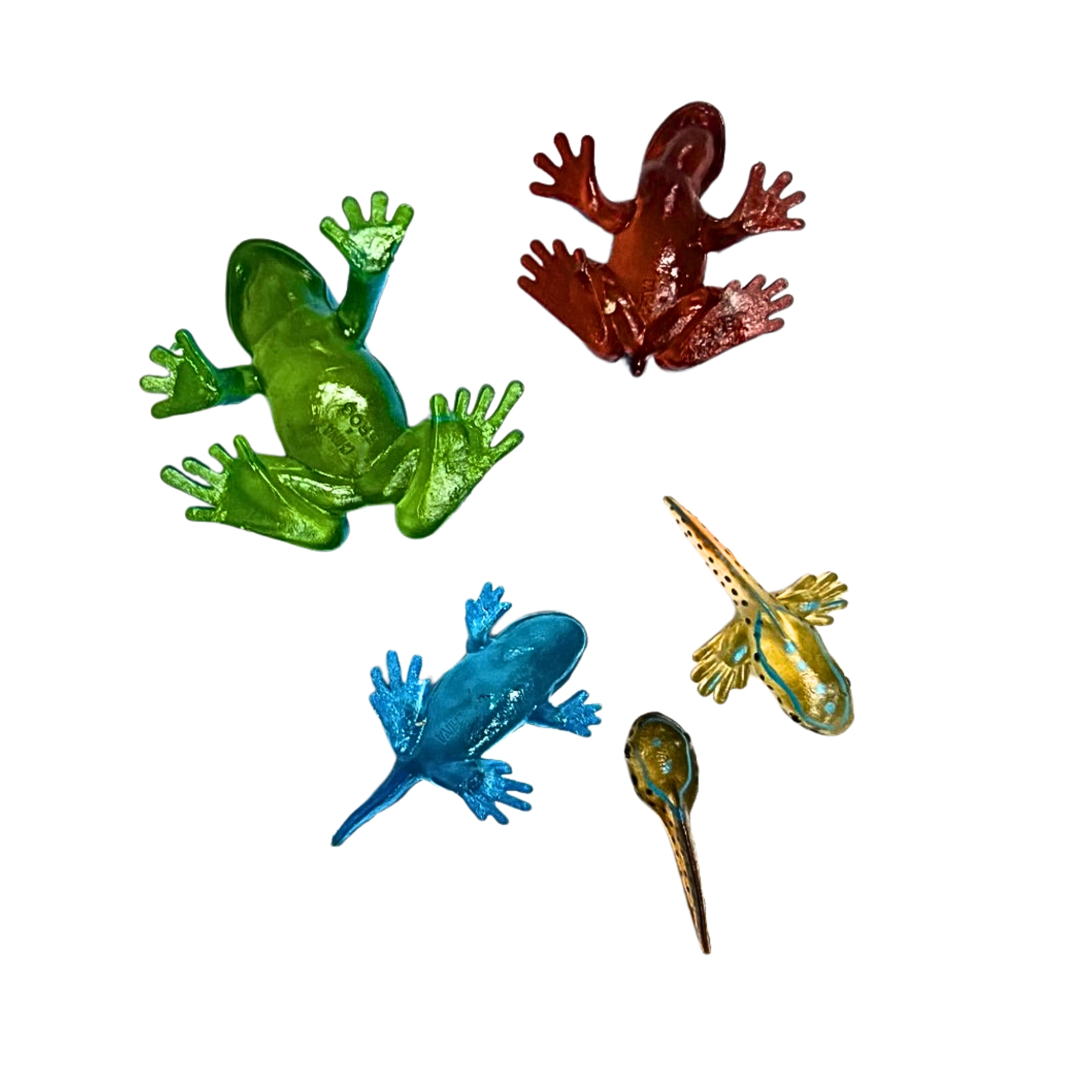Frog Life Cycle Figurines – 5 Piece Set