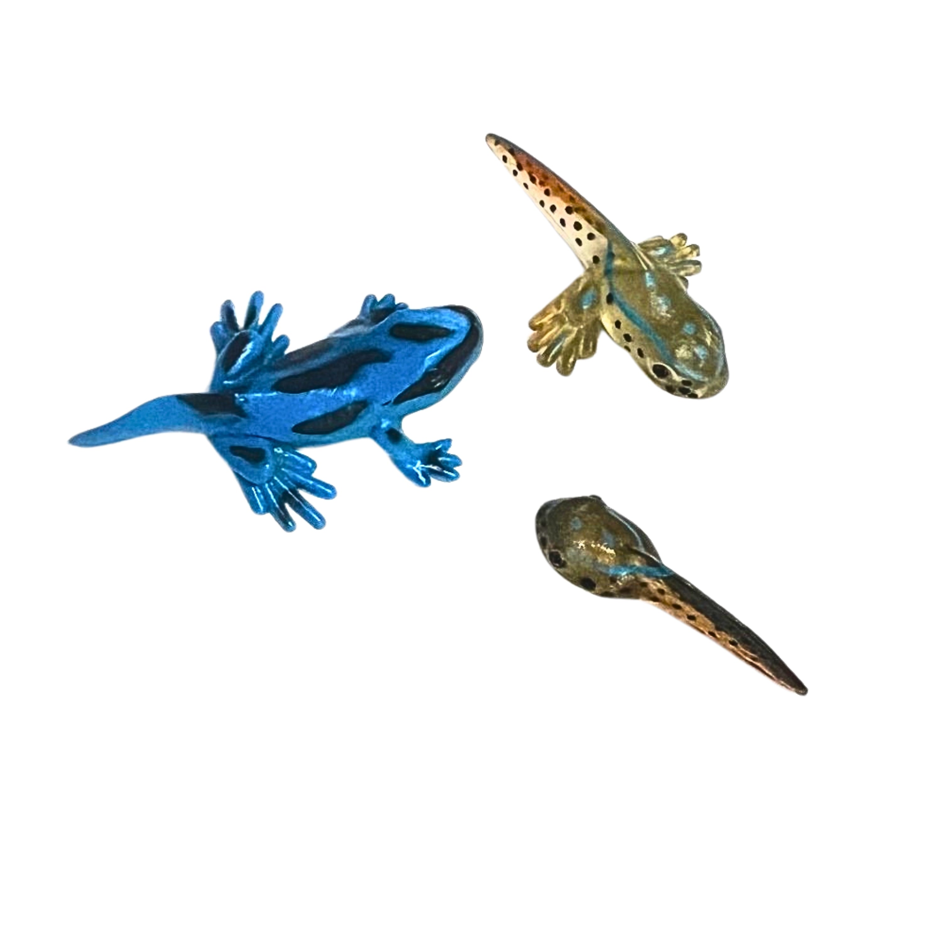 Frog Life Cycle Figurines – 5 Piece Set