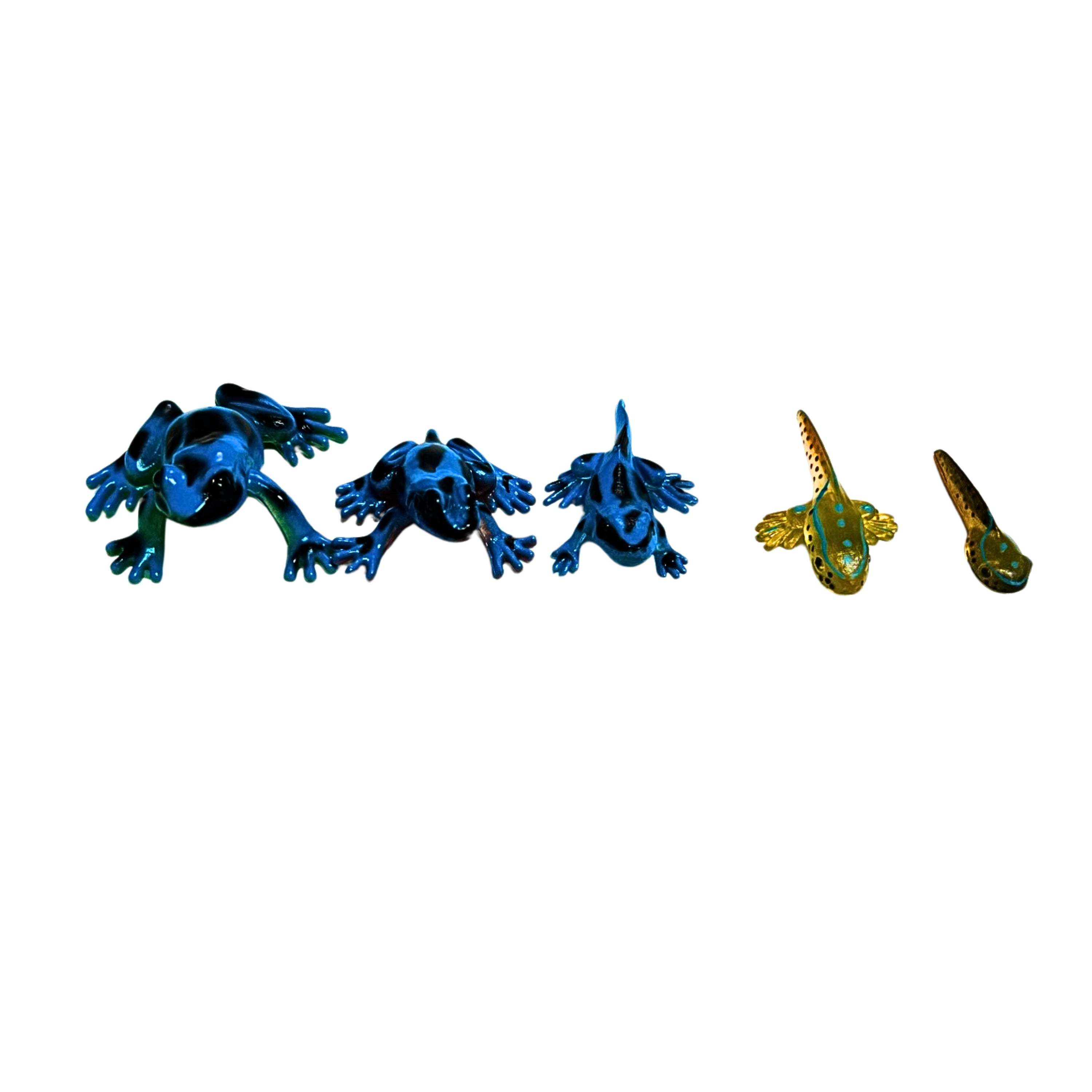 Frog Life Cycle Figurines – 5 Piece Set