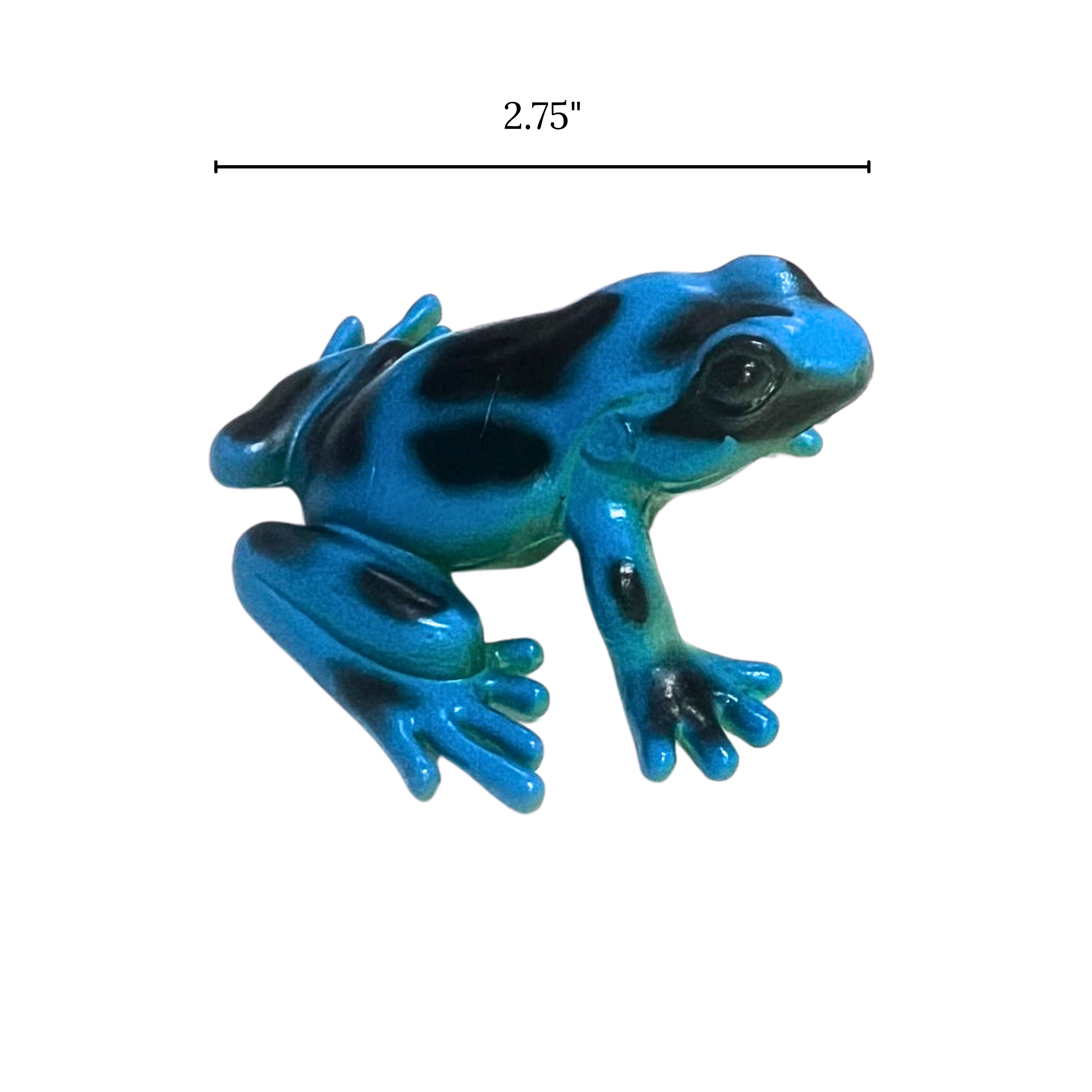 Frog Life Cycle Figurines – 5 Piece Set