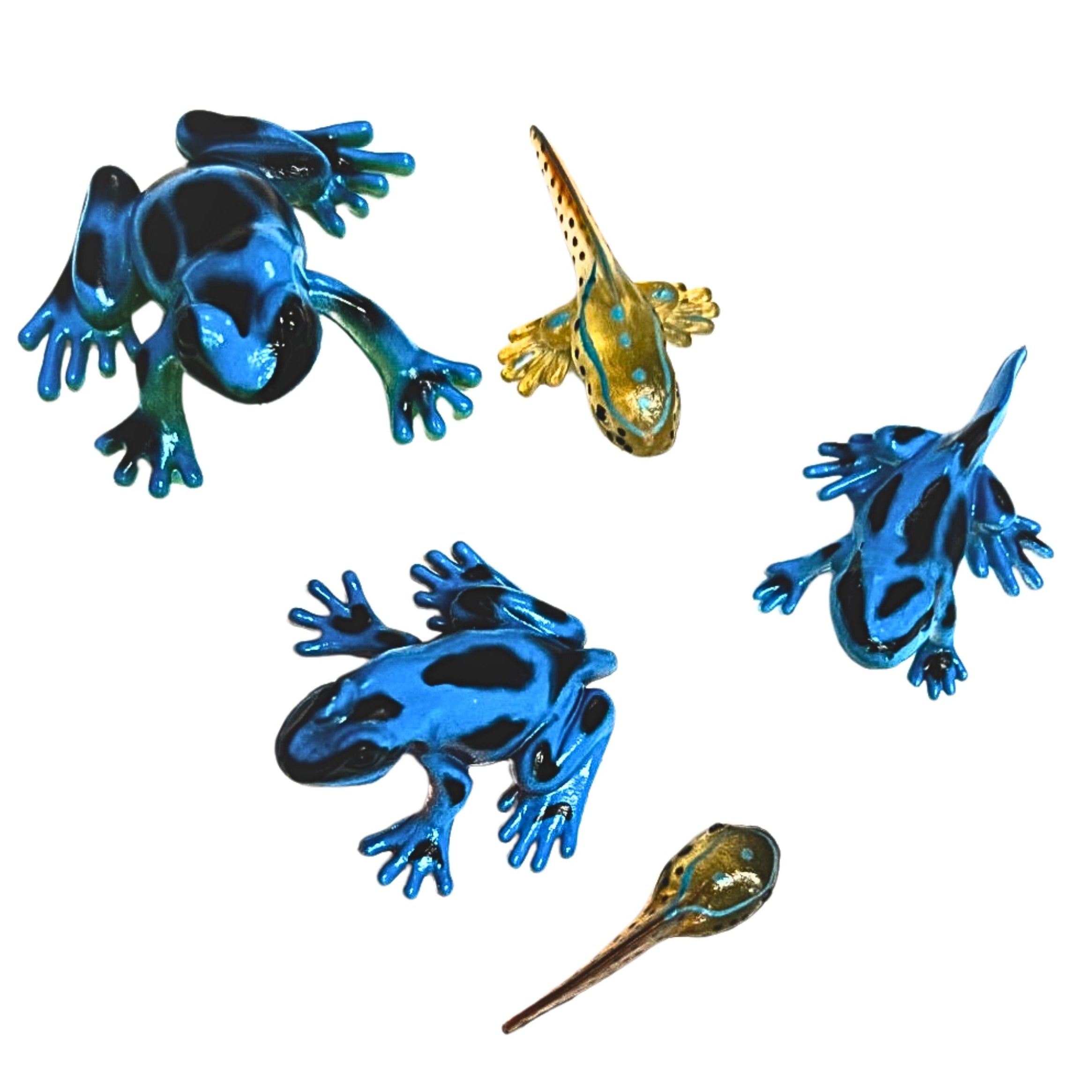 Frog Life Cycle Figurines – 5 Piece Set