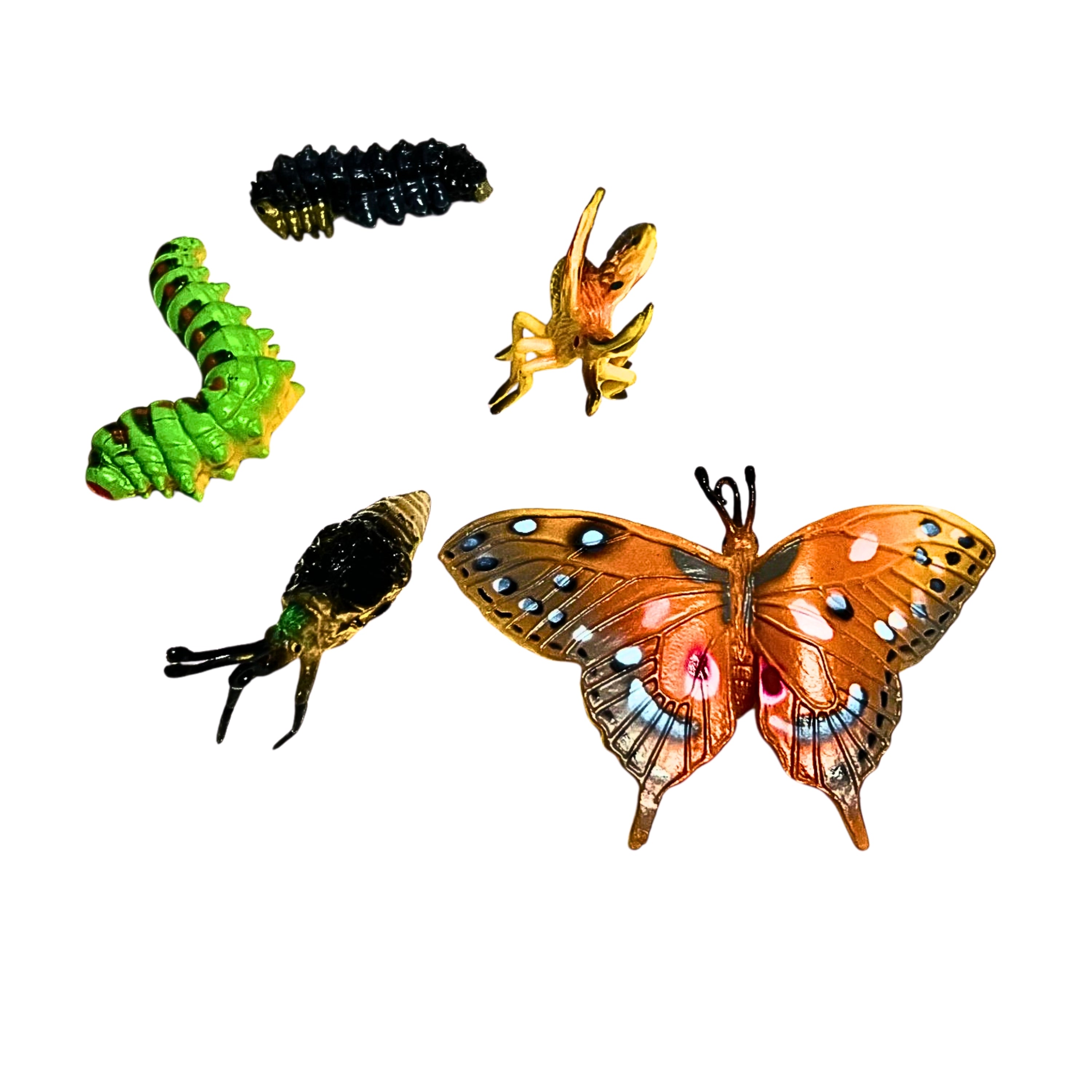 Butterfly Life Cycle Figurines